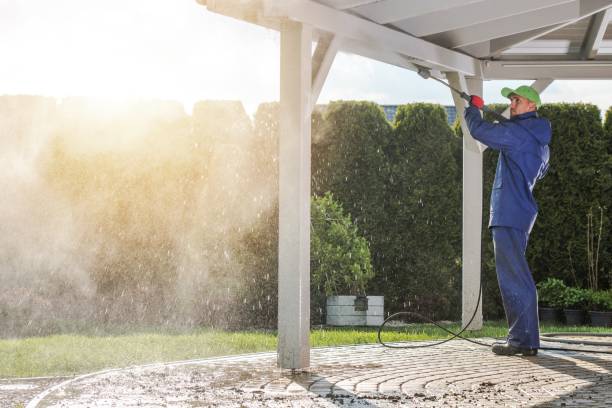 Best Roof Washing  in Melrose, MN